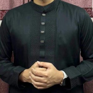 Exclusive Star Panjabi